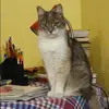 Отзыв от Алла Журавлева